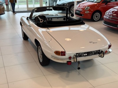 Thumbnail Alfa Romeo Spider - BUGA Auto