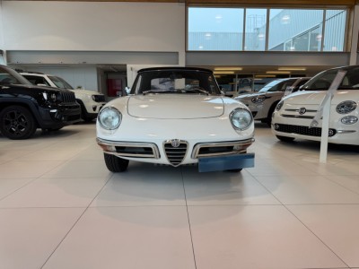 Thumbnail Alfa Romeo Spider - BUGA Auto