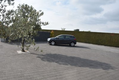 Car Gallery De Geyndt - Dacia Sandero